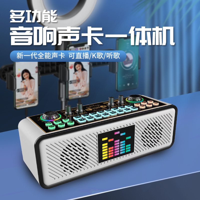X 10無線生放送の歌の音カードの音響の一体機の室内の屋外の携帯式のk歌は麦を叫んで生放送して外に放します。|undefined