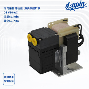DSV70-AC΢�͸�Ĥ��CEMS����ɘӭh�l���������KNF-86���ؓ����