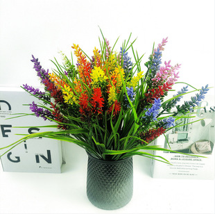 ����7����޹�²ݴ��ݿ羳���R�d �ٻ����滨���ϻ��������컨Ȧ