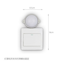 æµÃͯæµСg_Pճ]