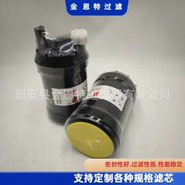 批发供应工程机械设备挖掘机柴油燃油过滤器滤清器 FS1098 滤芯