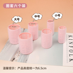 6-Piece Plastic Self-Adhesive Hair Curler Set for DIY Home Use – Hair Rollers 0065