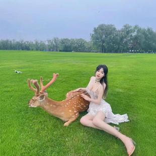 �Ȍ�÷��¹��񄰫�Rһվʽ���ճ��깩�����^÷��¹���RƷ�N�Rȫ