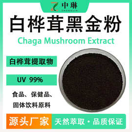 白桦茸黑金粉 水溶白桦茸多糖 白桦茸提取物1kg装 桦褐孔菌黑金粉