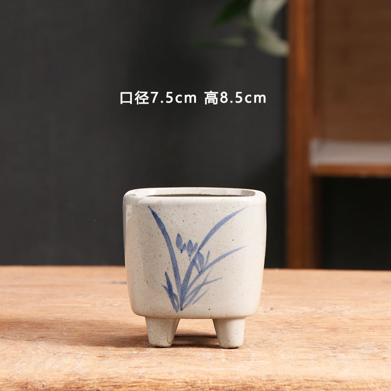 Orquídea cuadrada azul y blanco