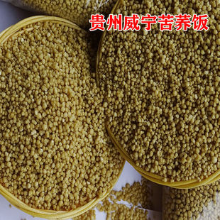 ����s�Zɢ�b�ڿ��w��w�����F�������خa���w�����w�����l