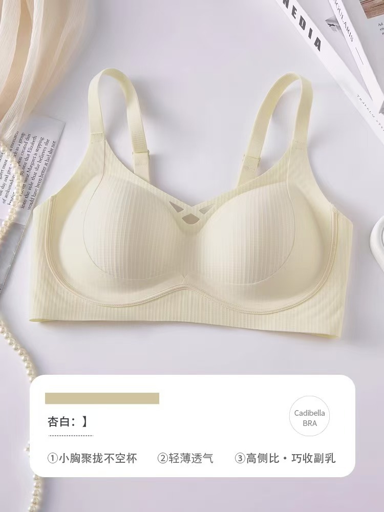샴페인