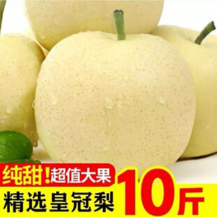 �ӱ��ʹ��������r10��ˮ������ѩ��Xɽ�����殔������