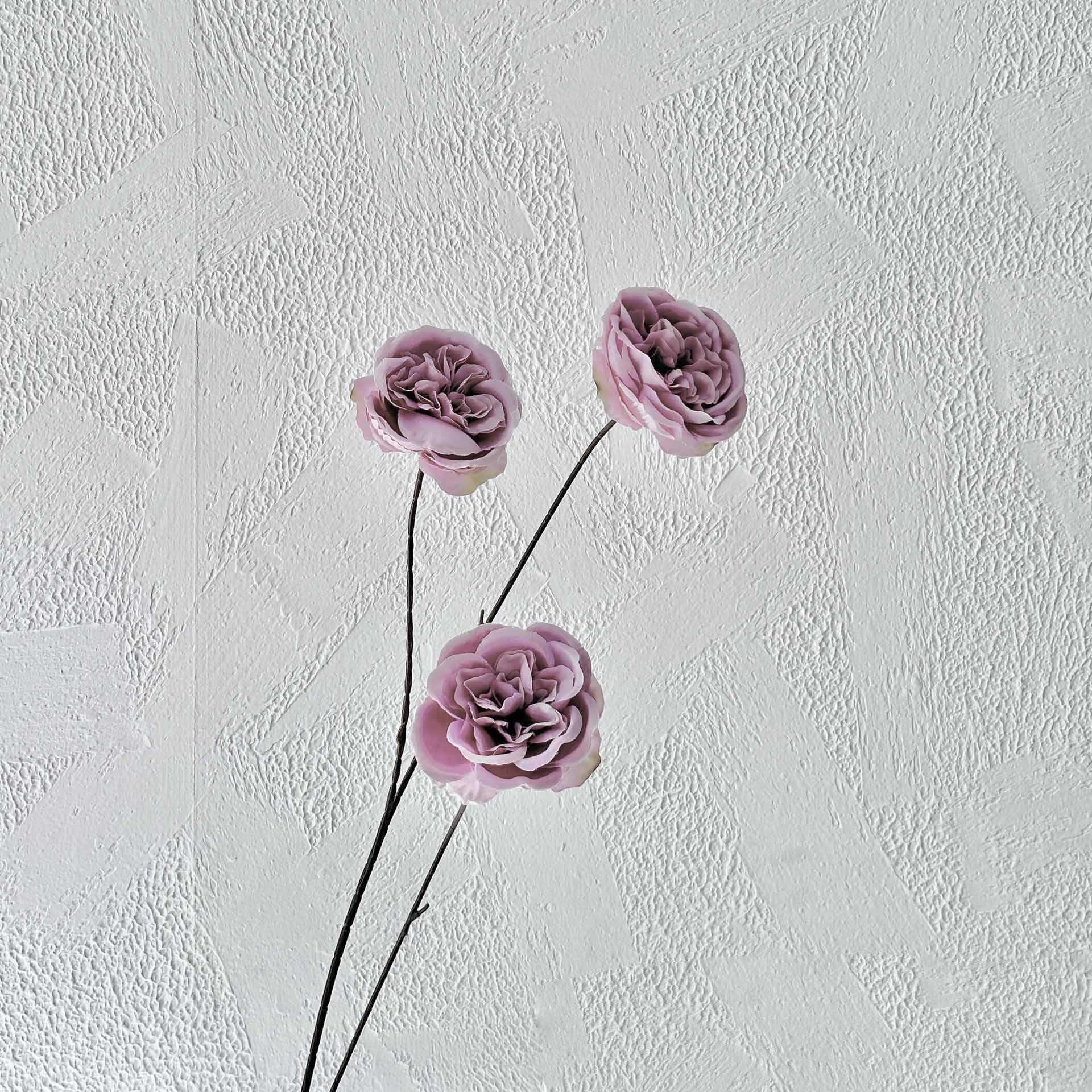 Ramas altas de color lila Austin