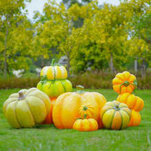 ⲣ䓷Ϲϵܻ@־^rׯ@S߲b[