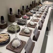 ����ľ����©������SPA��޹����չ��ԇ�㲣��������Ќ�������