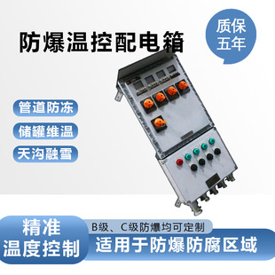 Distribution Box Explosion-Proof, Anti-Corrosion, Precise Temperature Control, 5-Circuit Explosion-Proof Temperature Control Distribution Box, Durable Multi-Circuit