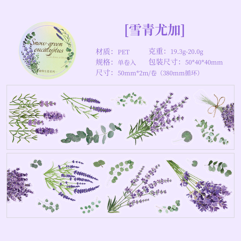 Tape adhesiva impermeable transparente para mascotas DIY diario diario material paisajístico plantas flores papelería pegatinas