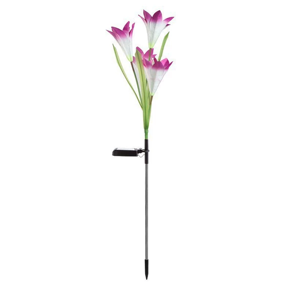 Purple four-headed lily