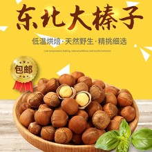 2024年东北野生铁岭产大榛子炒货原味开口新鲜干果坚果袋装礼盒