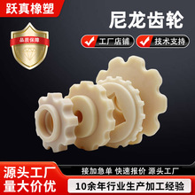 定制塑料齿轮含自润滑耐磨直斜齿轮传动链轮机械设备配套尼龙制品