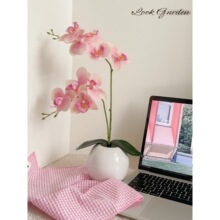 ins�L���ָк����mС���Լٻ��͏d����[�����P�͏d�[�O�b�