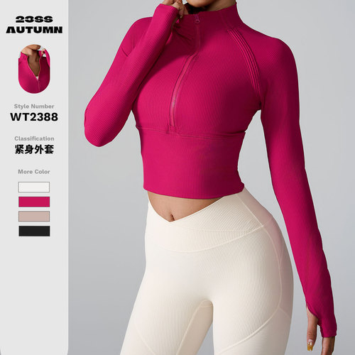 Ins 2024 Cross-border New Sport Coat, Quick-drying Slim Fit Stand Collar Jacket, Half Zip Long Sleeve Tight Yoga Wear