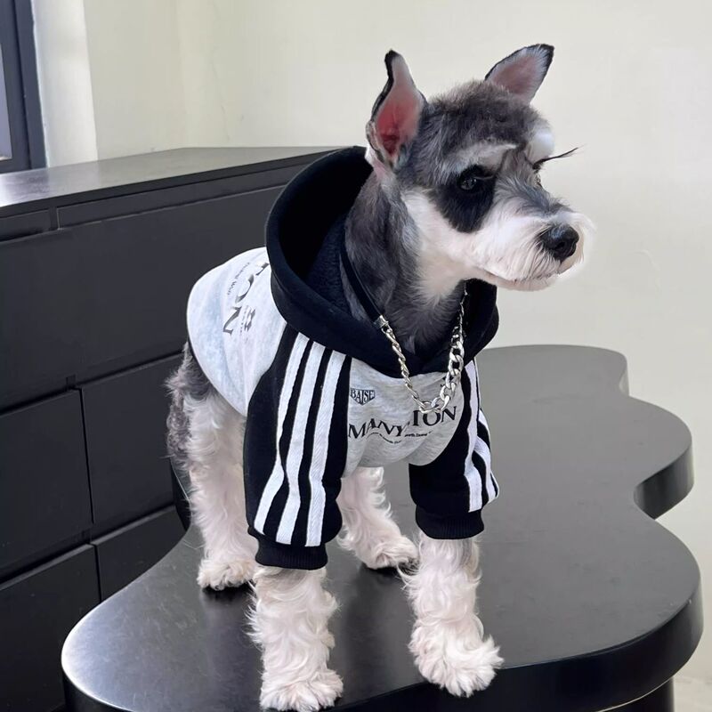 Schnauzer Clothes New Style Handsome Trendy Brand Bichon Pomeranian Small Size Dogs Autumn and Winter Fleece-Lined Warm Hooded Sweatshirt