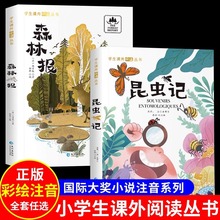 xӛɭֈLעСWnxČW䎧l