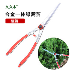 Jiujiu tree fence trim green hedge trim lawn trim sharp fruit tree galvanized large scissors pruning garden holly large flower shear