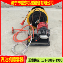 世东农林植保机动喷雾器便携式汽油打药机GX35汽油机喷雾器厂家