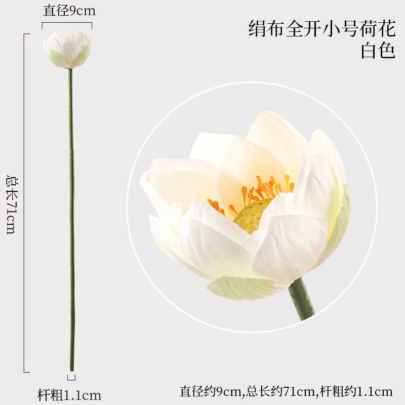 천 연꽃 풀 오픈 트럼펫 화이트