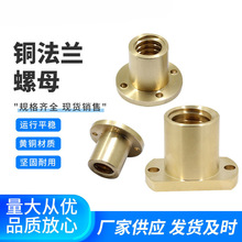 ���m�~��ĸ�p��߅�~��ĸ��������ĸ T10-T40�F؛���νz�U������ĸ