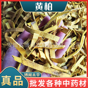 �S�� ��ș���S�� ȥƤ���S�� ���ʹ�� ����r�� �a��؛Դ