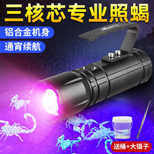 �y�Z��ϐ�ӌ��ß􏊹����Ͳ��늴��ʳ����Ϲⳬ�L�m�������