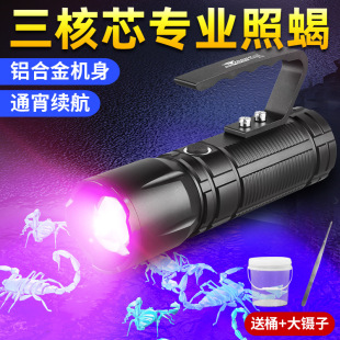 �y�Z��ϐ�ӌ��ß􏊹����Ͳ��늴��ʳ����Ϲⳬ�L�m�������