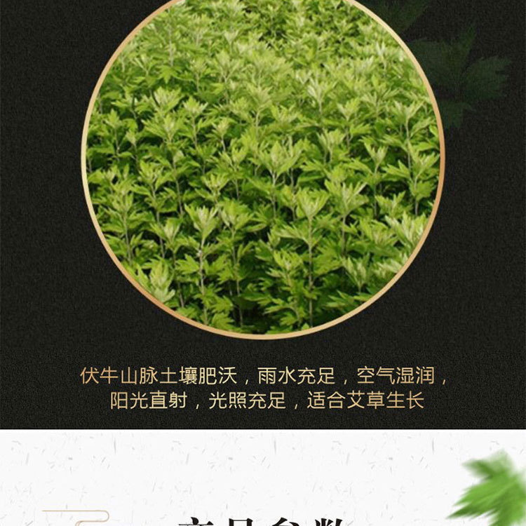 Moxa Cones 54 Pieces Aged Mugwort Rolls for Moxibustion Home Use key features