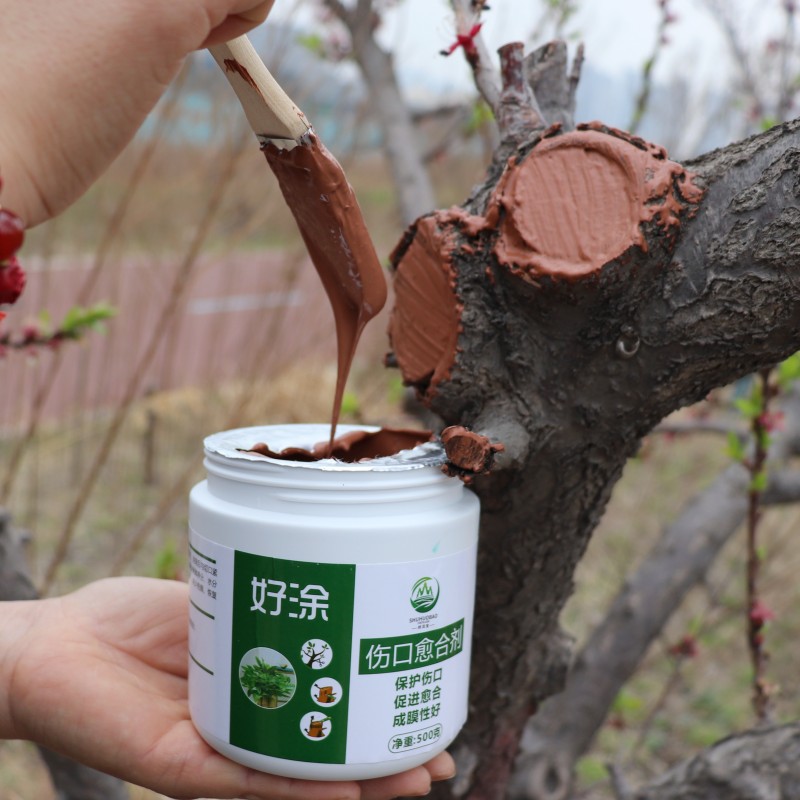 IMG_4220_副本咖啡色