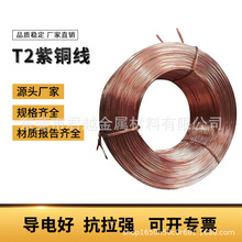 T2���~���~�zC1100�o���~�� ����~ܛ�BӲ�B�S��ֱ�N