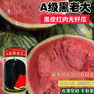 ��Ƥ�o�����ϷN�ѷN���ļ����r�������tȿ���ϷNˮ���N��