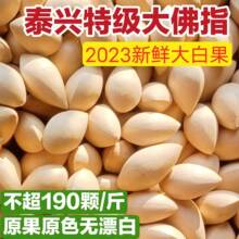 �y��̩�d2024���r�׹����y�ӹ����ָ��Ȼ���L�����oƯ�װ׹�