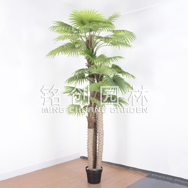 Los 2,8 m 3-polo girasol de la FAN de La PU