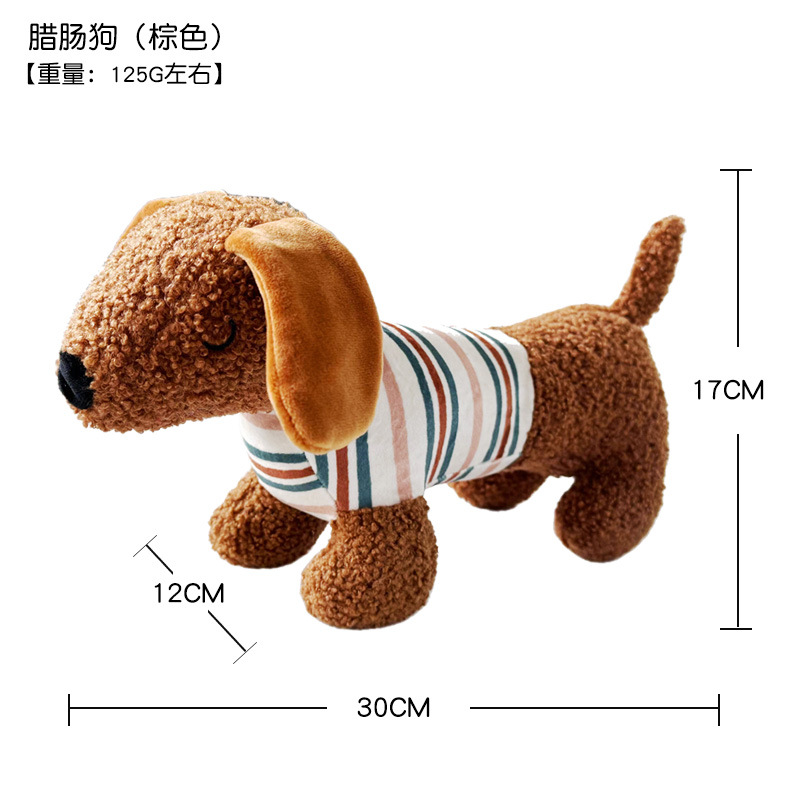 닥스훈트 - 브라운