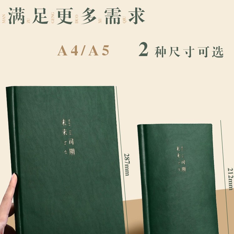 A5加厚记事本笔记本子简约ins风日记本办公会议记录本加厚工作本|undefined