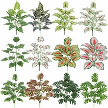 ����Gֲ�~��12��G�}��˹�~����ֲ��廨��Ļ�Y�bٻ�