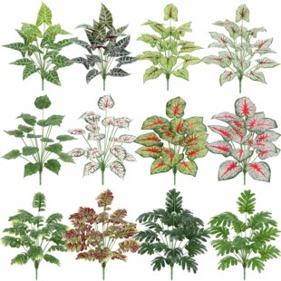 ����Gֲ�~��12��G�}��˹�~����ֲ��廨��Ļ�Y�bٻ�