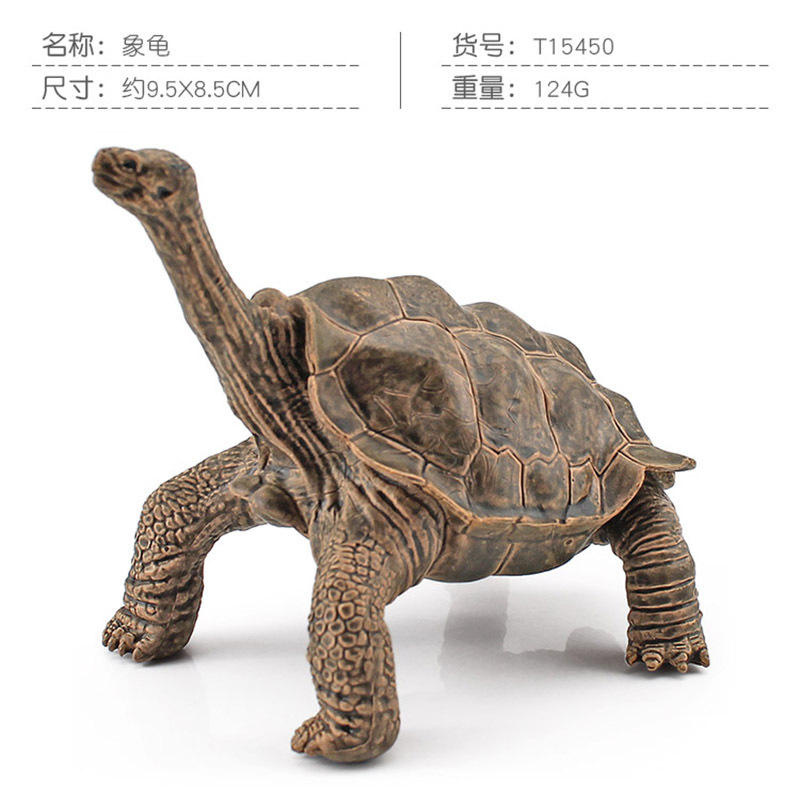 Transfronteriza Nueva simulación anfibio reptil modelo tierra tortuga elefante tortuga estrella tortuga estática decoración cognitiva decoración juguete