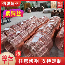 T2���~�z��Ӳܛ�B�t�~�� �o���~�z������~�� C1100�q�����~��