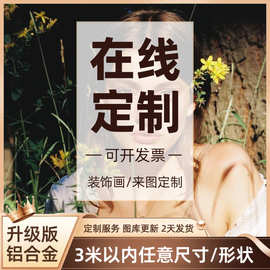 定制客厅壁画玄关装饰画挂画轻奢晶瓷画餐厅喷绘玄关画床头画批发