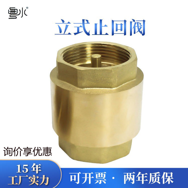 黄铜立式止回阀 4分1寸6分自来水管道单向阀加厚逆水阀弹簧式阀门