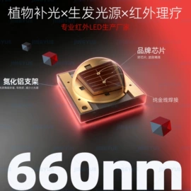 芯片级灯珠;大功率LED;直插式LED