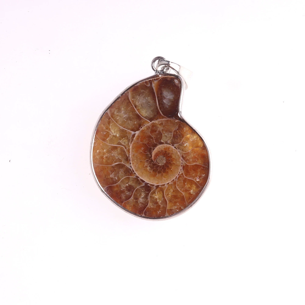 Натуральная ракушка боярышника грубая перегрузка snail wealth snail открытая нарезанная ракушка окаменелость подвеска Ракушка Окаменелость