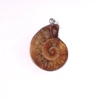 Натуральная ракушка боярышника грубая перегрузка snail wealth snail открытая нарезанная ракушка окаменелость подвеска Ракушка Окаменелость