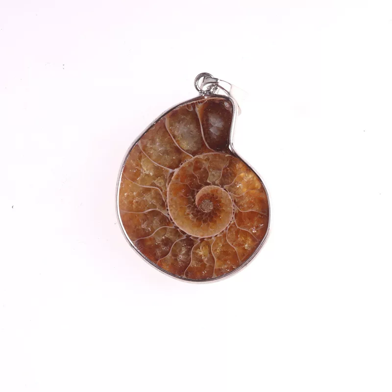 Натуральная ракушка боярышника грубая перегрузка snail wealth snail открытая нарезанная ракушка окаменелость подвеска Ракушка Окаменелость