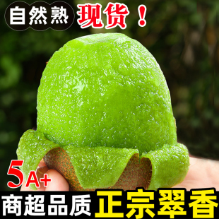 �������J�������r�ЋDˮ��30�w��������󏛺��ҶY�оG���殐��